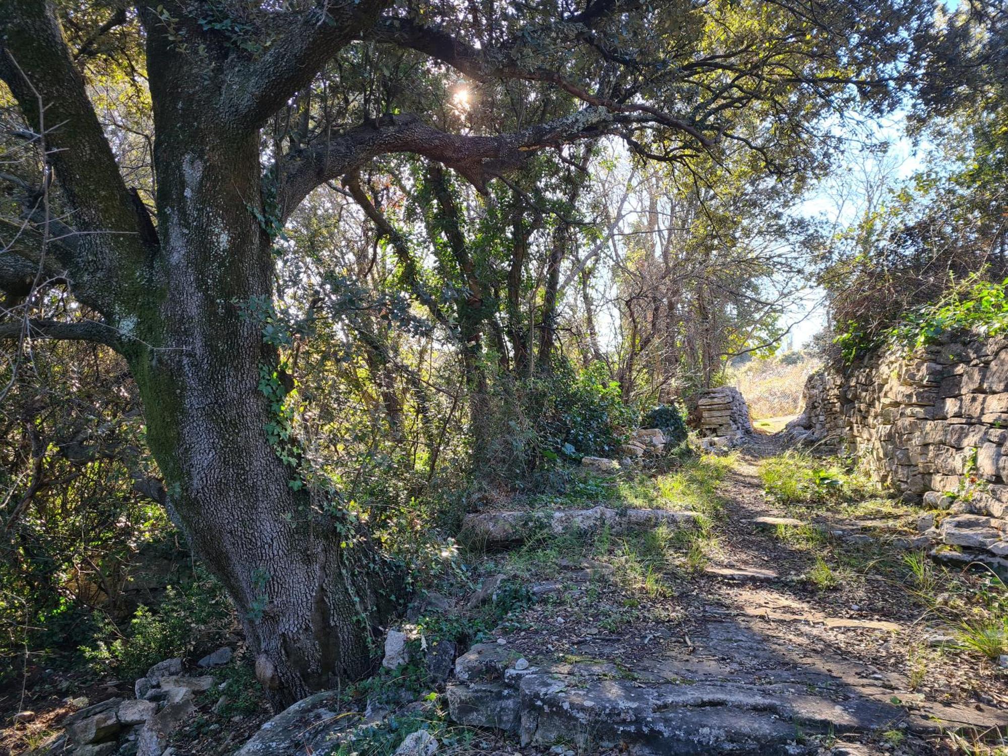 Le Petit Chêne Casa de hóspedes *