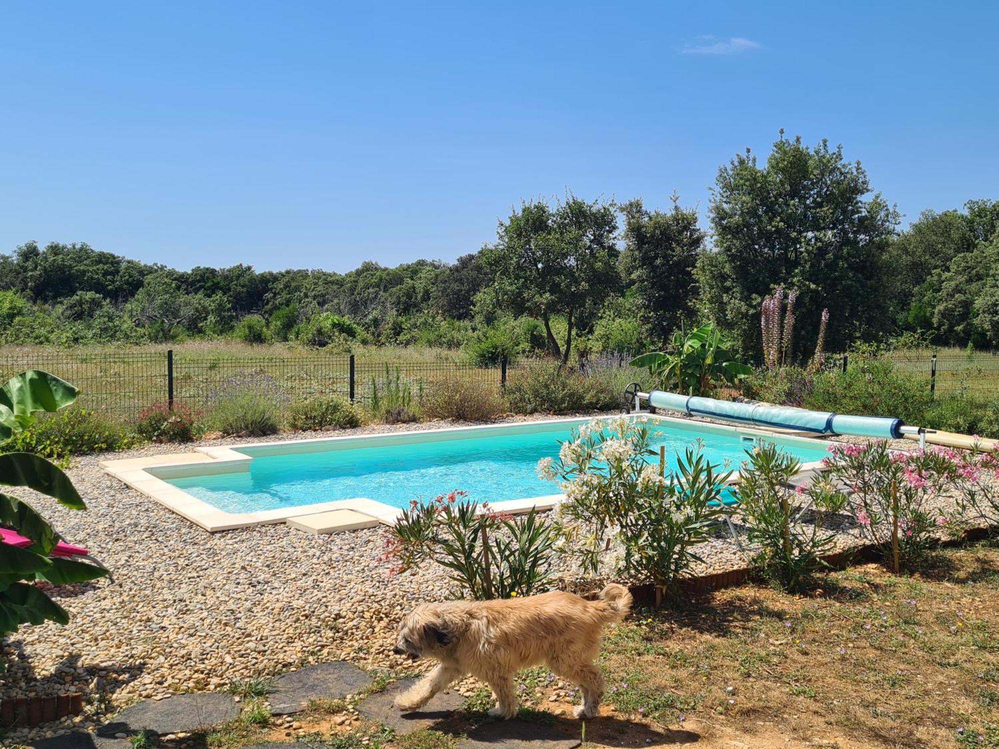 Le Petit Chêne Maison d'hôtes Orgnac-lʼAven