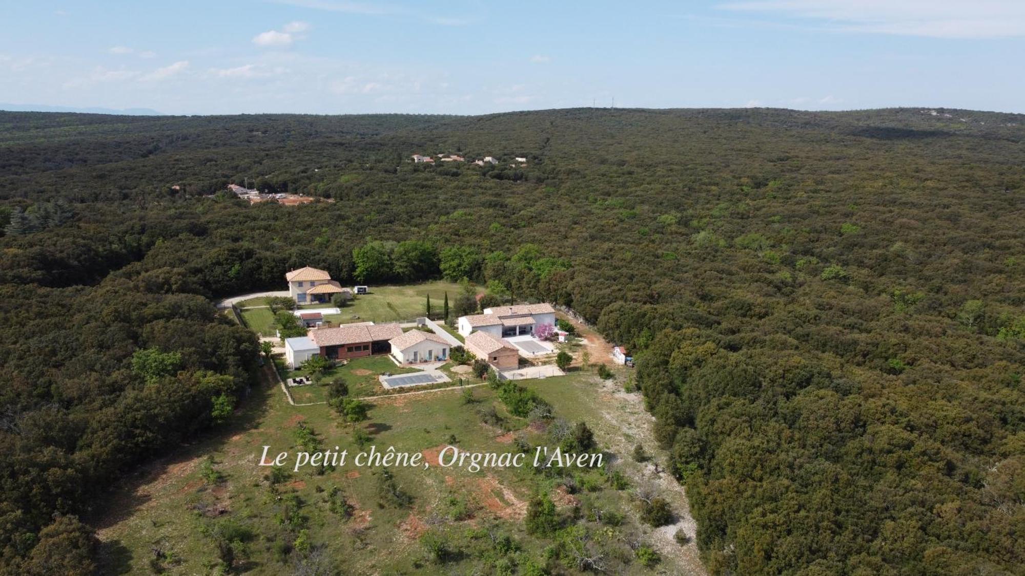 Le Petit Chene